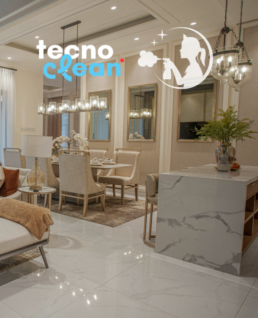 TECNOCLEANSRL_CI_2026 (3)